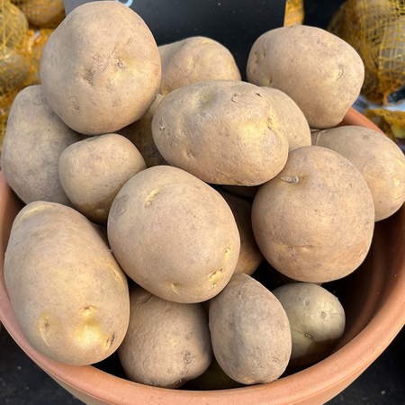 Pentland Javelin First Early 2KG