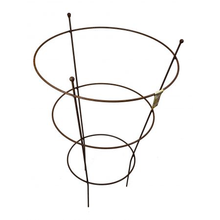 Peony Support Large Ready to Rust