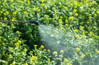 Pest and Plant Control