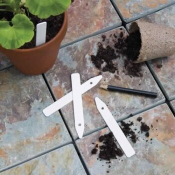 Plant Labels 100mm with Pencil