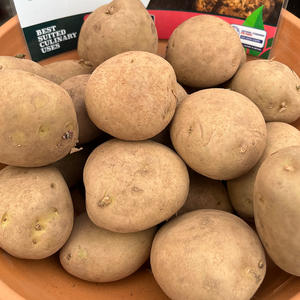 Potato Caledonian Pearl Second Early 2KG