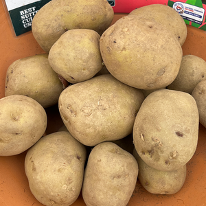 Potato First Early Foremost 2 Kg