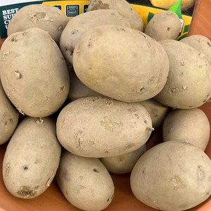 Potato Sagitta 2Kg - image 2