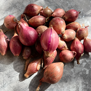 Red Onion Winter 30 sets