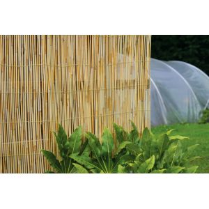 Reed Screen 4m x 1.5m - image 2