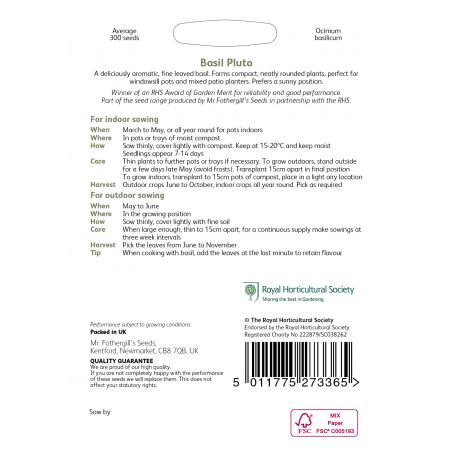 RHS BASIL Pluto Seeds - image 2