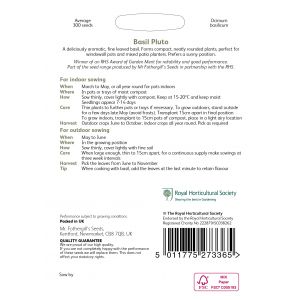 RHS BASIL Pluto Seeds - image 2