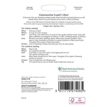 RHS CATANANCHE Cupid's Dart Seeds - image 2