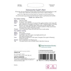 RHS CATANANCHE Cupid's Dart Seeds - image 2