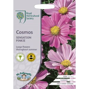 RHS COSMOS Sensation Pinkie Seeds