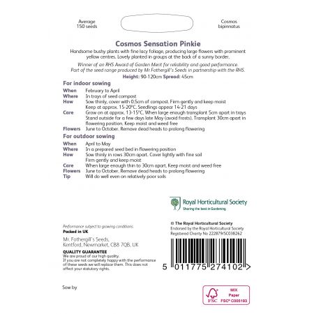 RHS COSMOS Sensation Pinkie Seeds - image 2