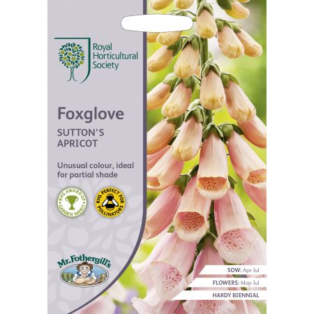 RHS FOXGLOVE Sutton's Apricot Seeds - image 1