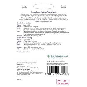 RHS FOXGLOVE Sutton's Apricot Seeds - image 2