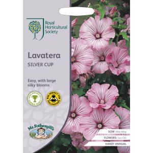 RHS LAVATERA Silver Cup Seeds