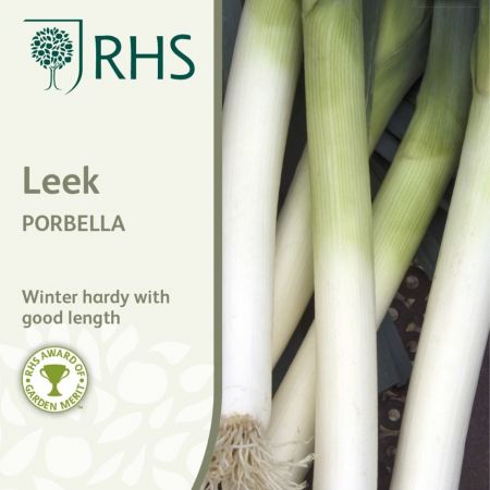 RHS Leek Porbella Seeds