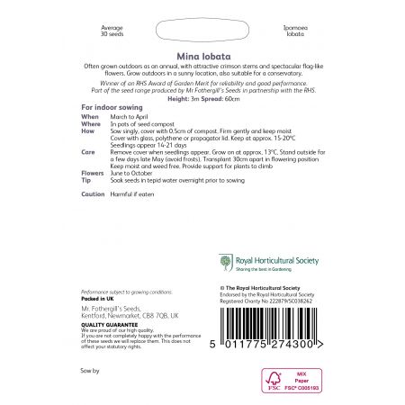 RHS MINA lobata Seeds - image 2