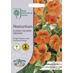 RHS NASTURTIUM Alaska Salmon Orange Seeds