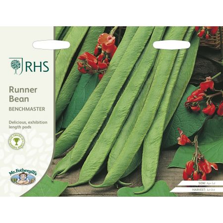 RHS RUNNER BEAN Benchmaster Seeds - image 1