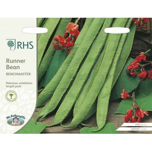 RHS RUNNER BEAN Benchmaster Seeds