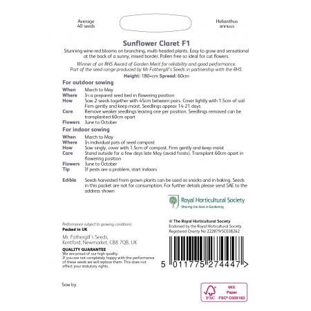 RHS SUNFLOWER Claret F1 Seeds - image 2
