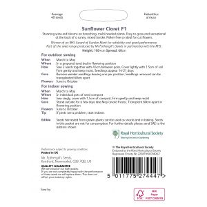 RHS SUNFLOWER Claret F1 Seeds - image 2