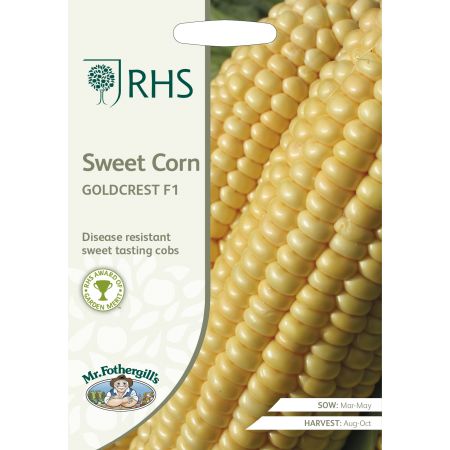 RHS SWEET CORN Goldcrest F1 Seeds - image 1