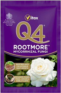 Rootmore Q4 60g