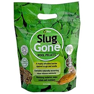 Slug Gone 3.5L
