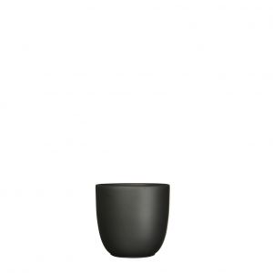 Smooth Black 9cm Indoor Pot
