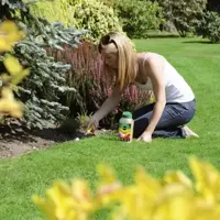 Plant Feed & Soil Improver