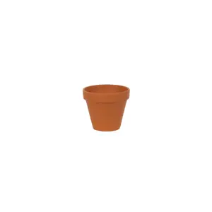 Spang Terracotta Pot 4"