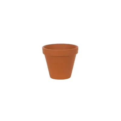 Spang Terracotta Pot 5.5"