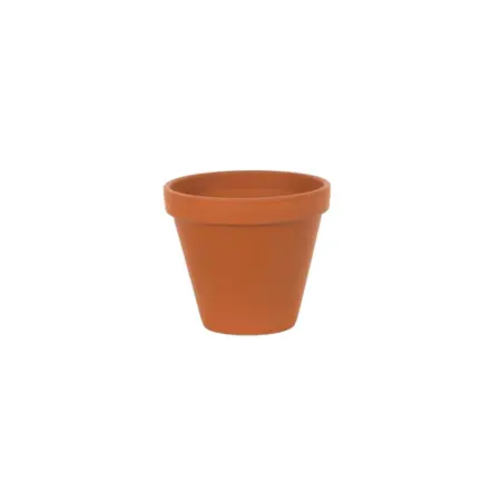 Spang Terracotta Pot 6"