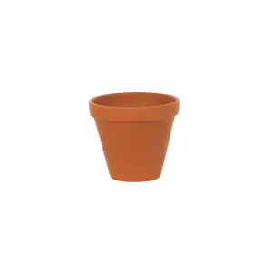 Spang Terracotta Pot 6"