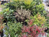 Special Offers