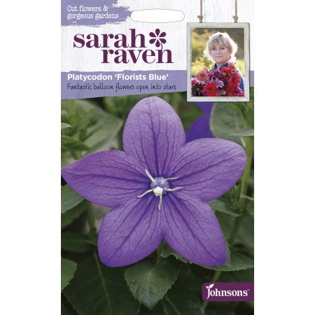 Sarah Raven PLATYCODON Florists Blue - image 1