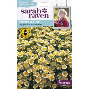 Sarah Raven POACHED EGG PLANT - image 1
