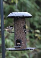 Stands, Tables & Feeders