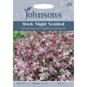 STOCK NIGHT SCENTED - image 1