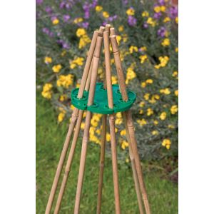 Sweet Pea Training Kit - image 2