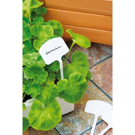 T Plant Labels Pack of 10