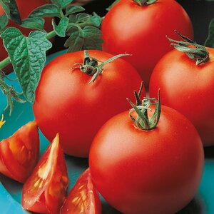 Tomato Matina Organic Seeds
