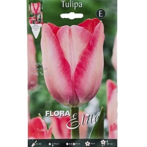 Tulip Pink Sound