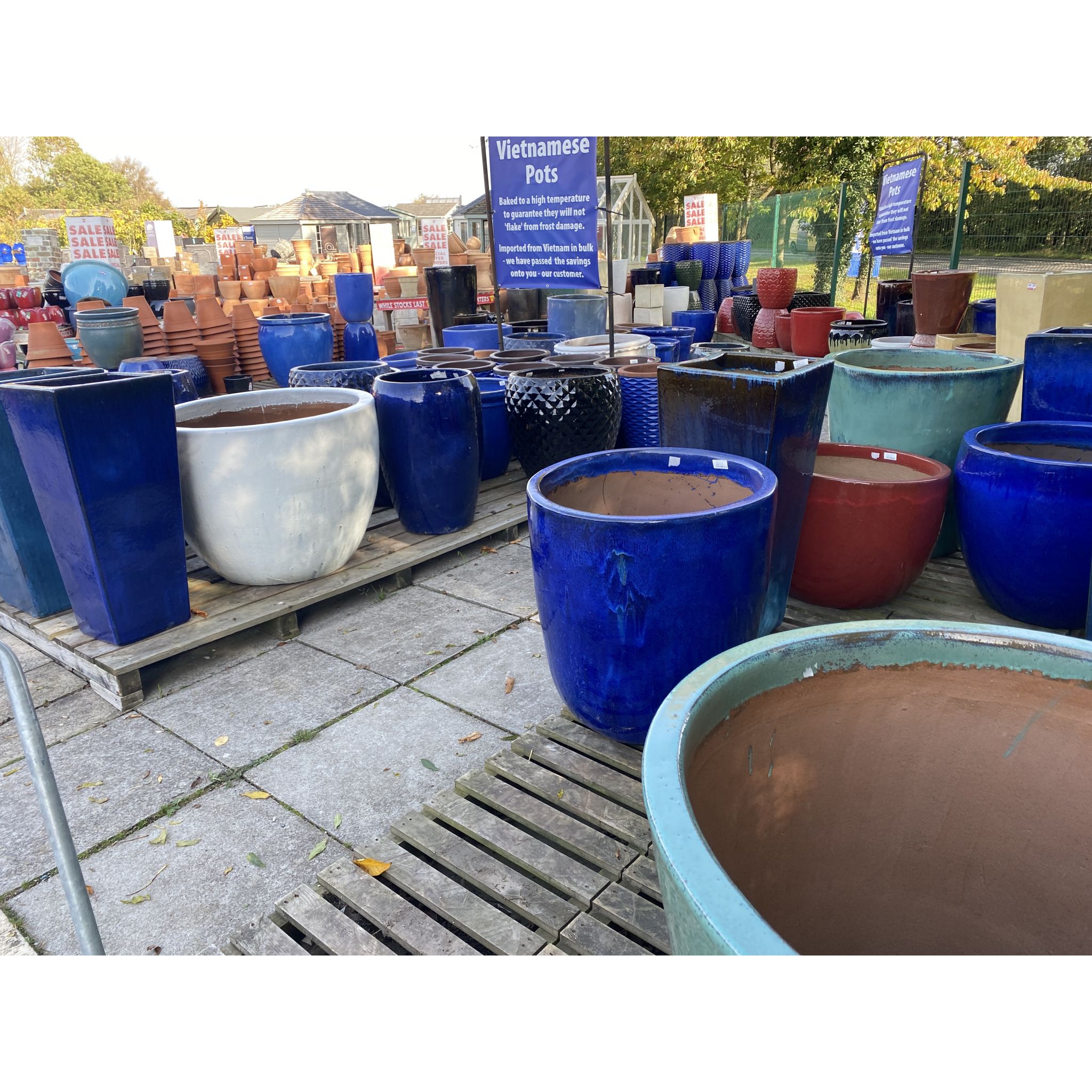 Vietnamese Pot No5 Goldcliff Garden Centre