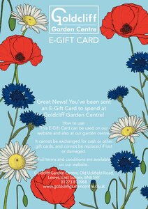 Wildflower E-Gift Card - image 2