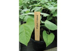 Wooden Plant Labels 10cm (4") pack of 10