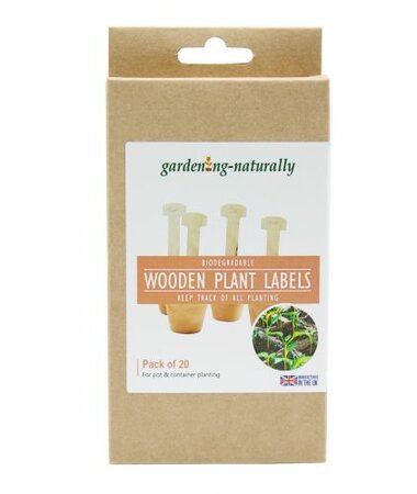 Wooden T Plant Labels Pack of 20