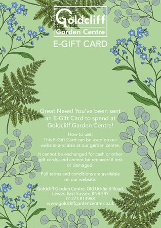 Woodland E-Gift Card - image 2